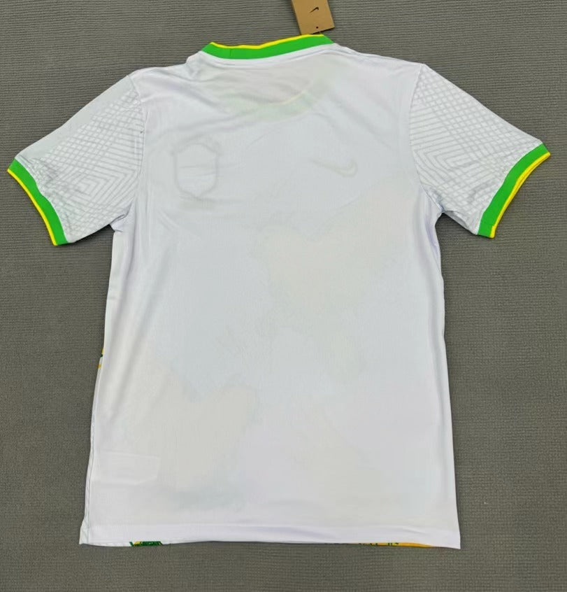 Brésil Maillot Concept