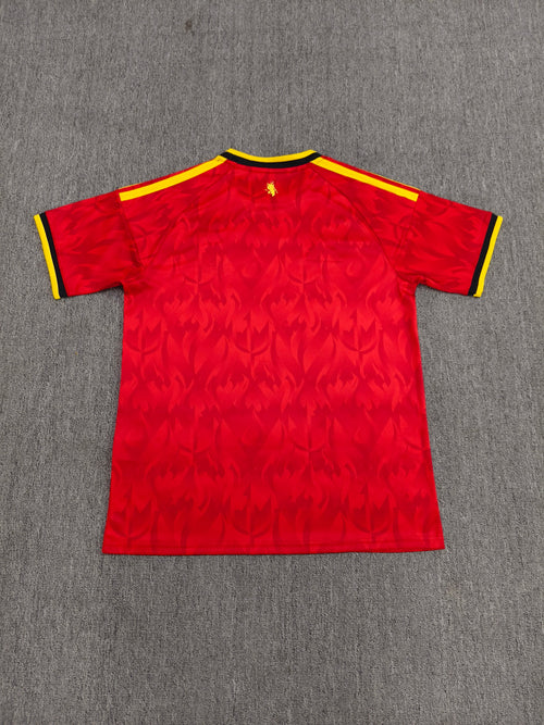 Belgique Maillot Domicile 26/27